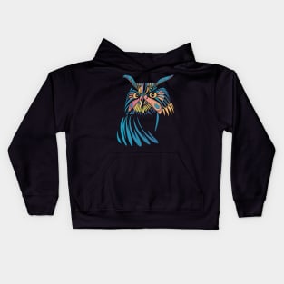 Mystic Owl Kids Hoodie